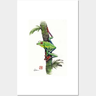 RED-EYED TREE FROG - watercolor painting Posters and Art